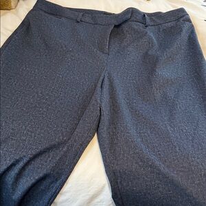 Tahari ASL Blue and Gray Pants